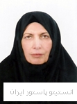 زینت السادات حاج میرفتاح
